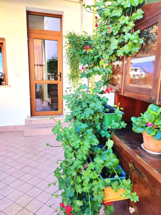 Hotel Luisa Brenzone sul Garda Eksteriør billede